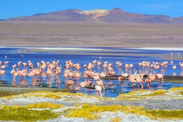 laguna colorada